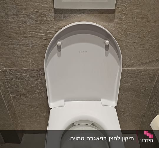 אסלה עם לחצני הדחה על הקיר